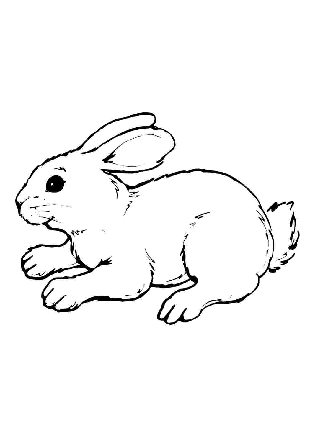 Смешной заяц — раскраска для детей. Распечатать бесплатно.