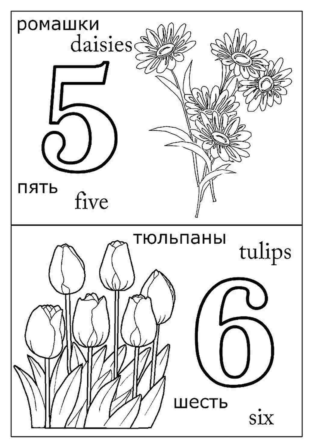 раскраска для 1 класса. Распечатать раскраски.