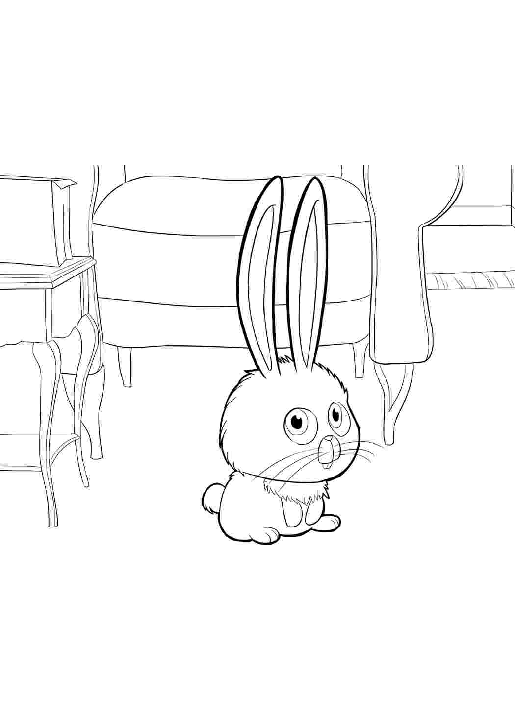 Раскраски Кролик Снежок. Много раскрасок. Кролик Снежок. Раскрашивать онлайн.