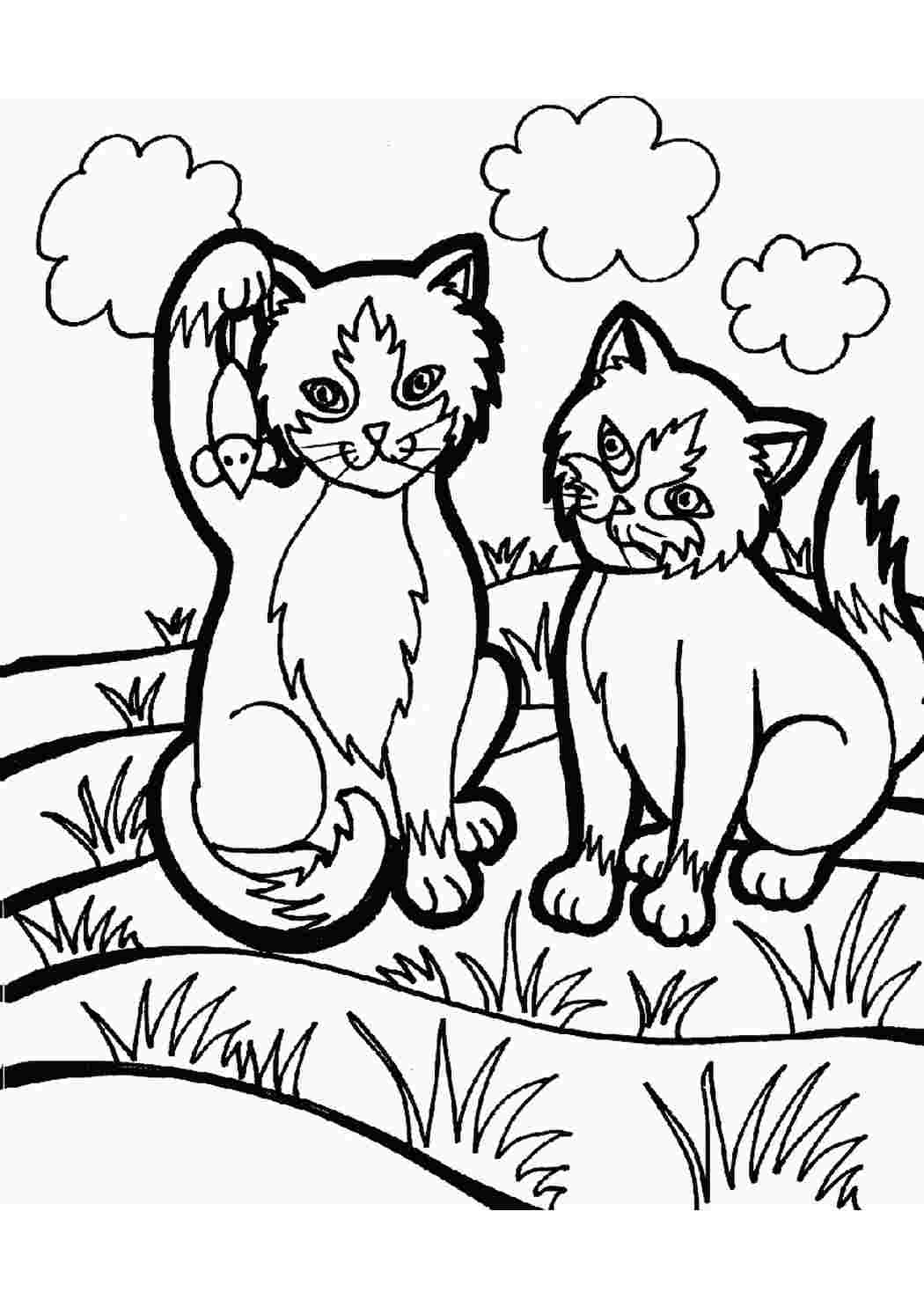 Раскраски кошки и котята. Скачать и распечатать раскраски