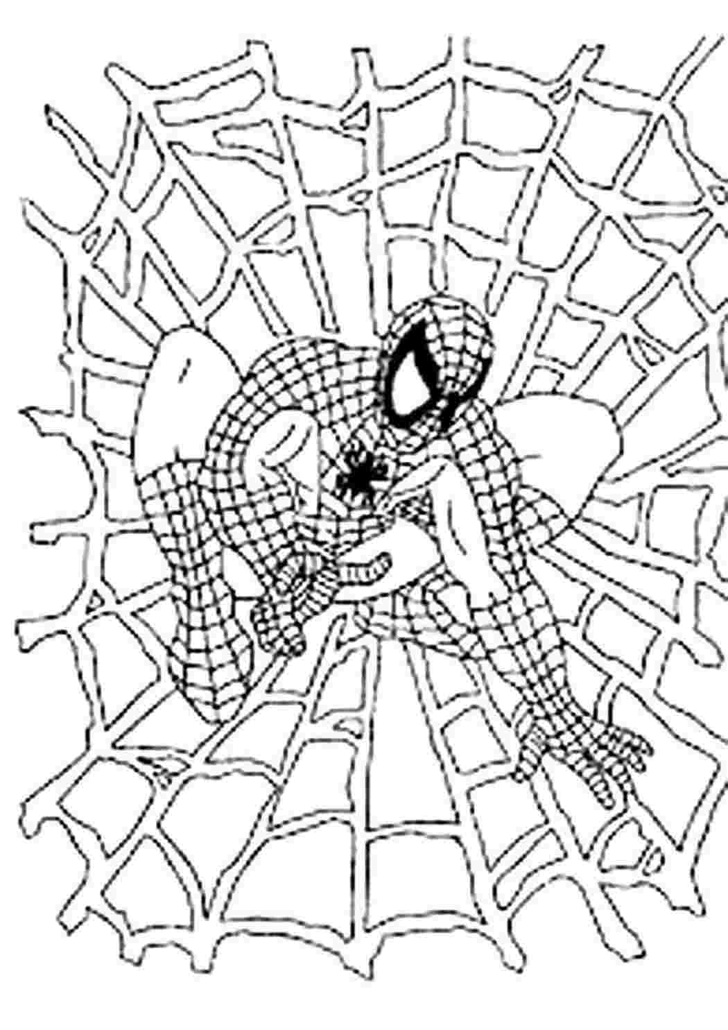 Раскраски детские раскраски раскраска паутина. Разукраски. детские раскраски раскраска паутина. Разукрашка.