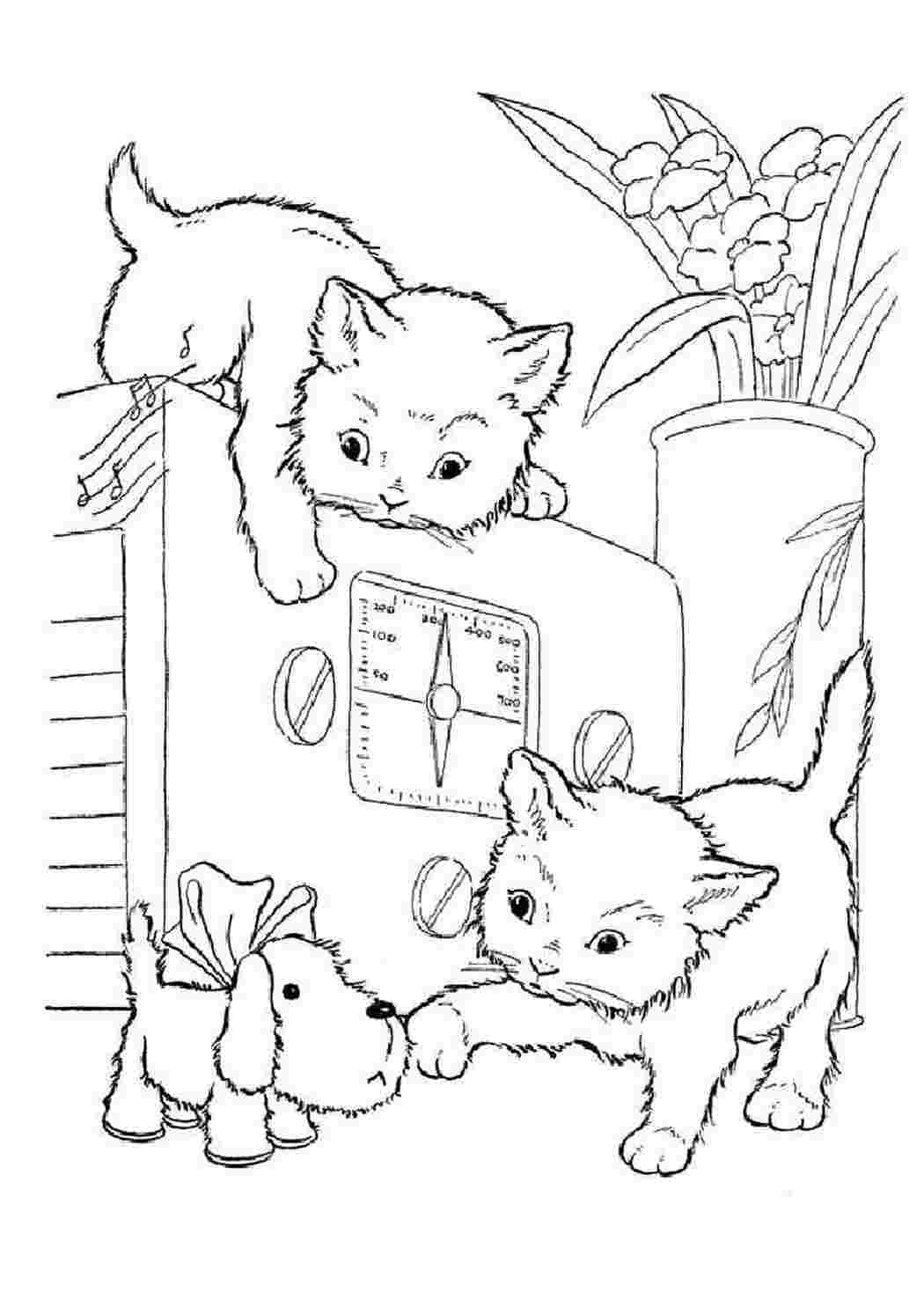 Раскраски Картинка кошка и сабака. Разукраски. Картинка кошка и сабака. Интересные раскраски.