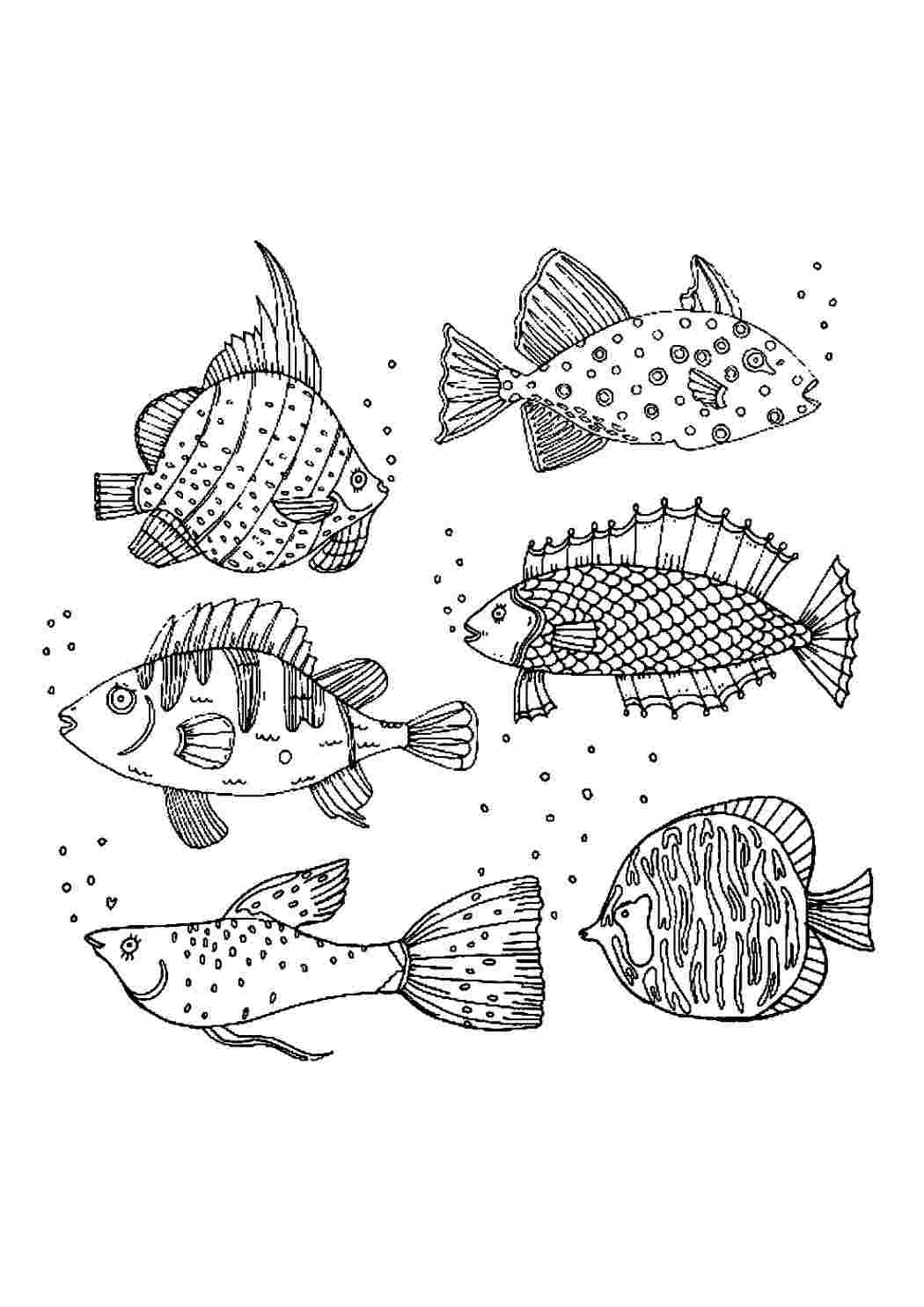 Раскраски Рыбы Антистресс