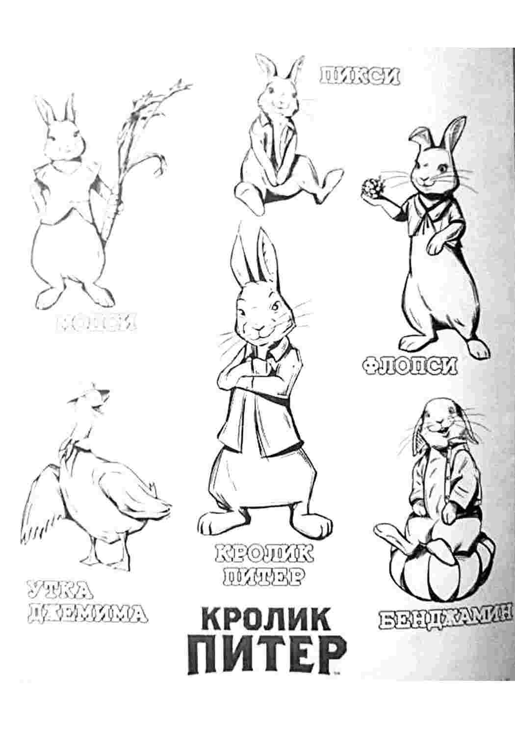 Раскраски раскраски из мультфильмов раскраска кролик питер. Раскраска без регистарции. раскраски из мультфильмов раскраска кролик питер. Раскраски.
