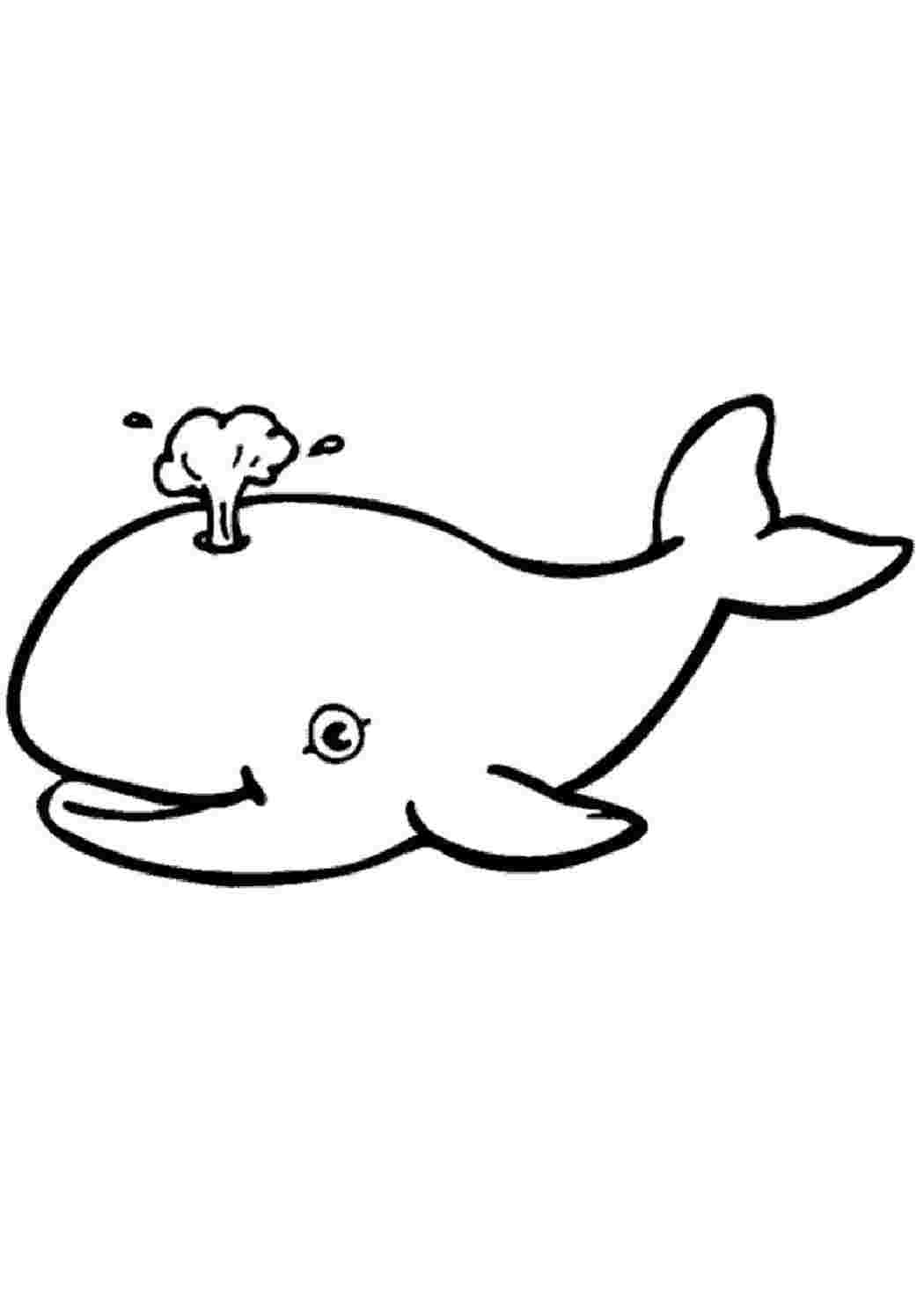 Рисунок кита - картинка №12057