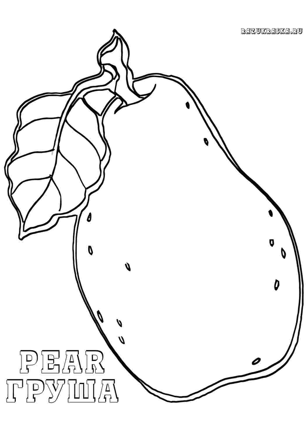 Раскраски груша еда. Скачать раскраски бесплатно. груша еда. Скачать раскраски бесплатно.