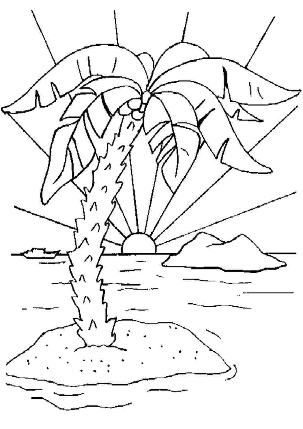 раскраска пальма. Раскраски без СМС.