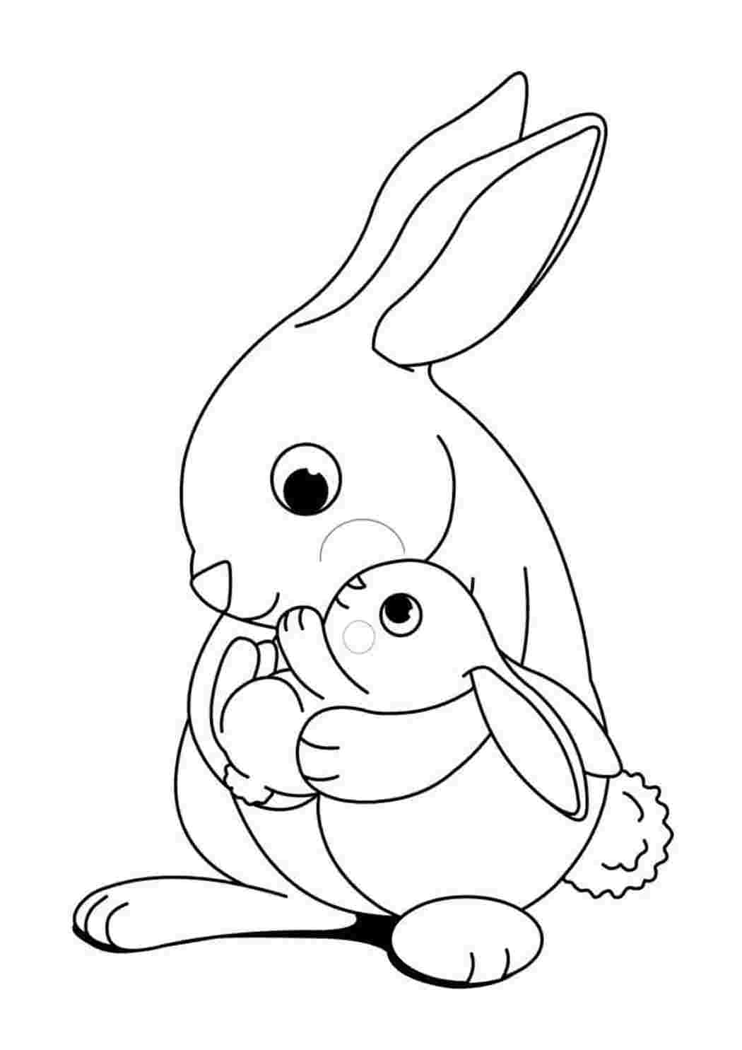 Раскраска кролик - распечатать картинки для детей