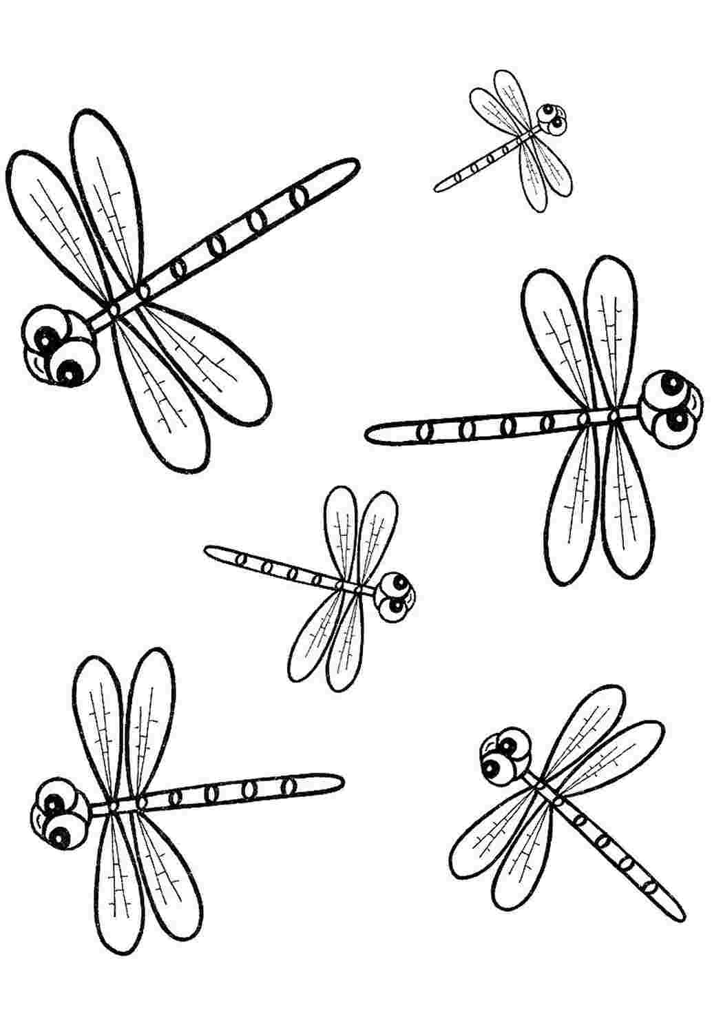 Раскраски раскраски животные насекомые раскраска стрекоза. Скачать раскраски бесплатно. раскраски животные насекомые раскраска стрекоза. Много раскрасок.
