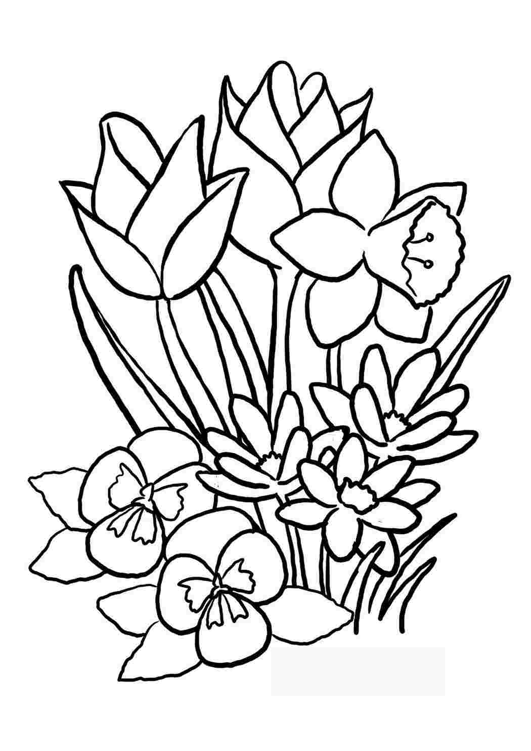 Раскраски тюльпаны и другие цветы. Лучшие раскраски. тюльпаны и другие цветы. Распечатать раскраски.