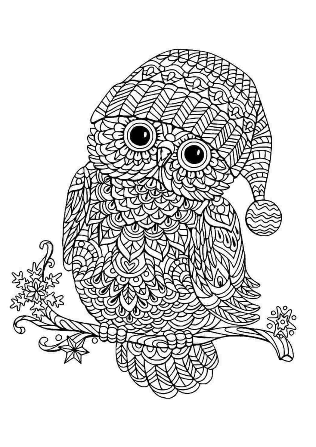 Раскраска Красивая сова – Развивающие иллюстрации