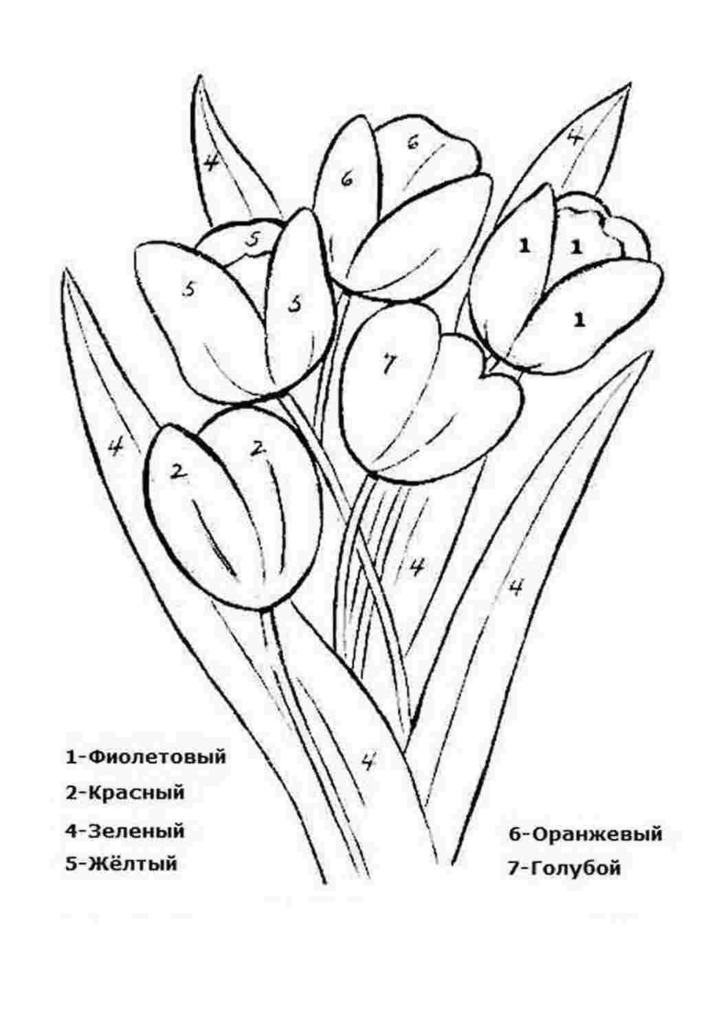 раскраски природа раскраска тюльпан. Бесплатные раскраски.