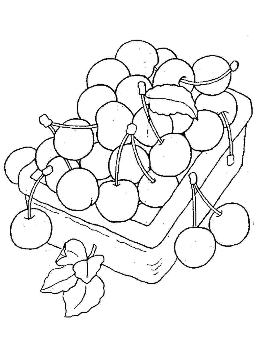 Раскраски раскраска вишня. Черно белые раскраски. раскраска вишня. Обучающие раскраски.