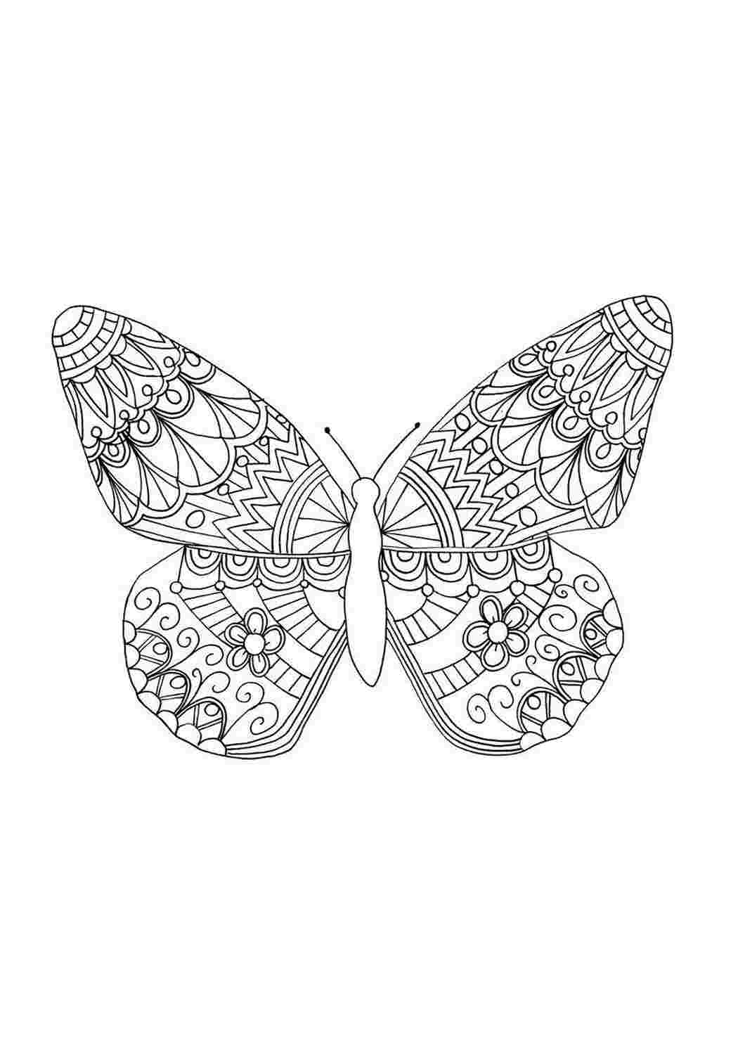 Раскраски Антистресс бабочка. Сайт с раскрасками. Антистресс бабочка. Картинки раскраски.