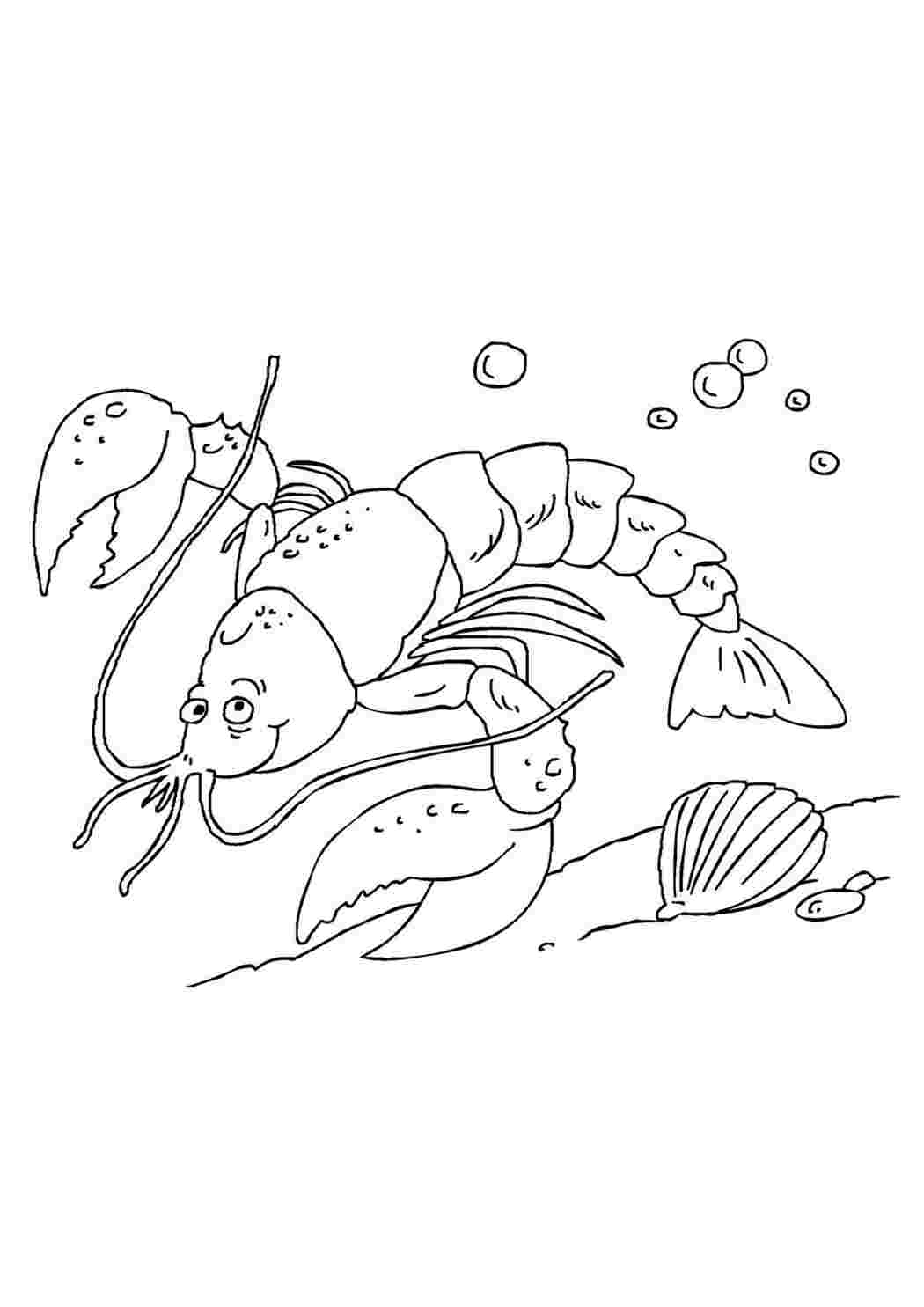 Раскраски Морской рак. Картинки раскраски. Морской рак. Бесплатные раскраски.
