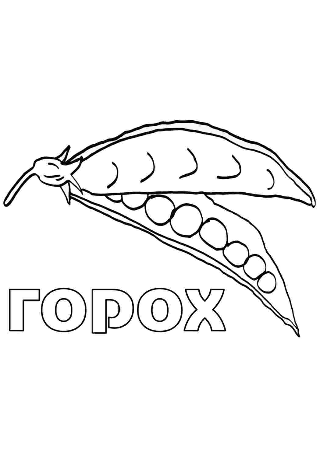 Раскраски горох еда. Разукраски. горох еда. Бесплатные раскраски.