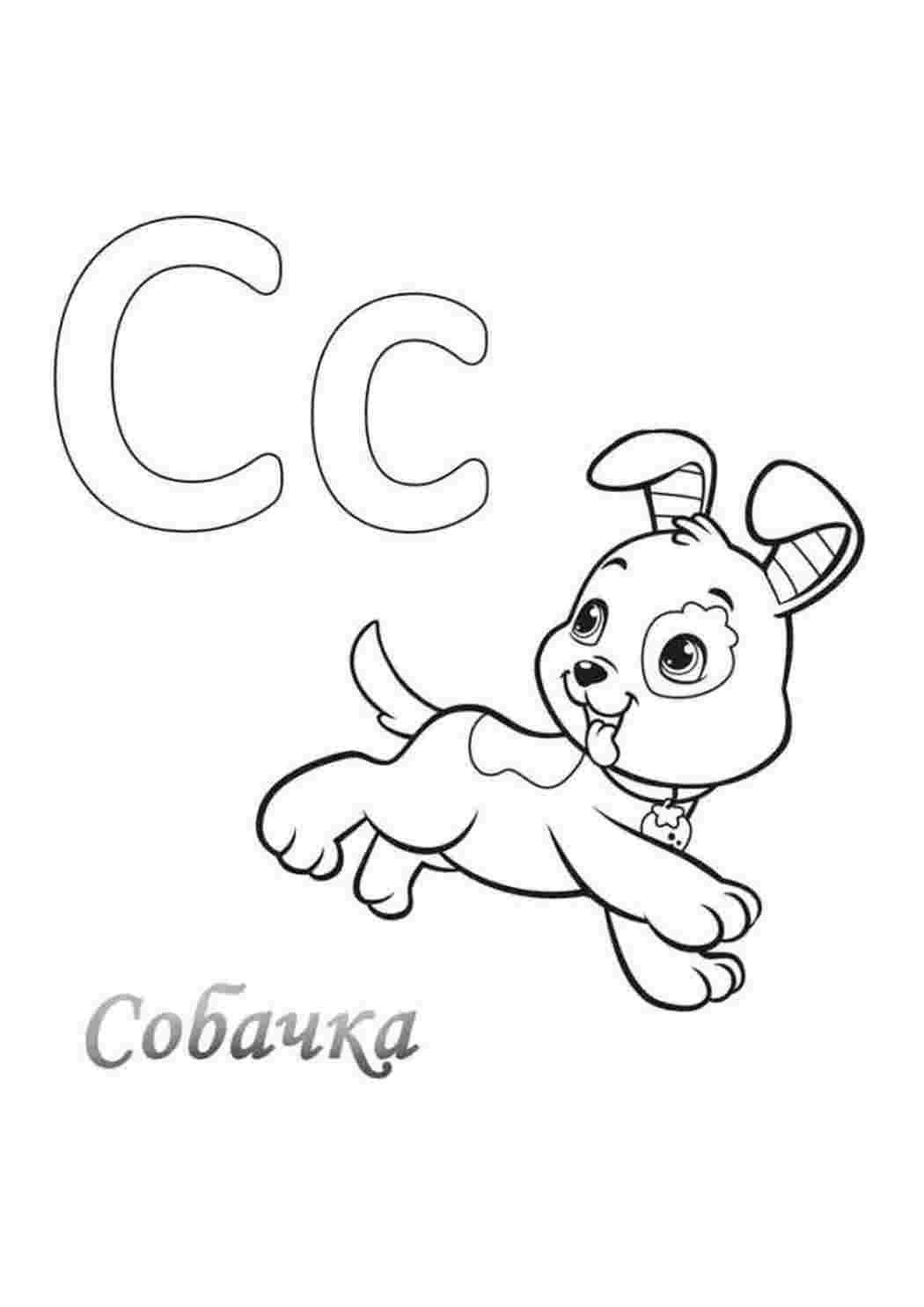 Буква "С" собачка. Скачать раскраски.