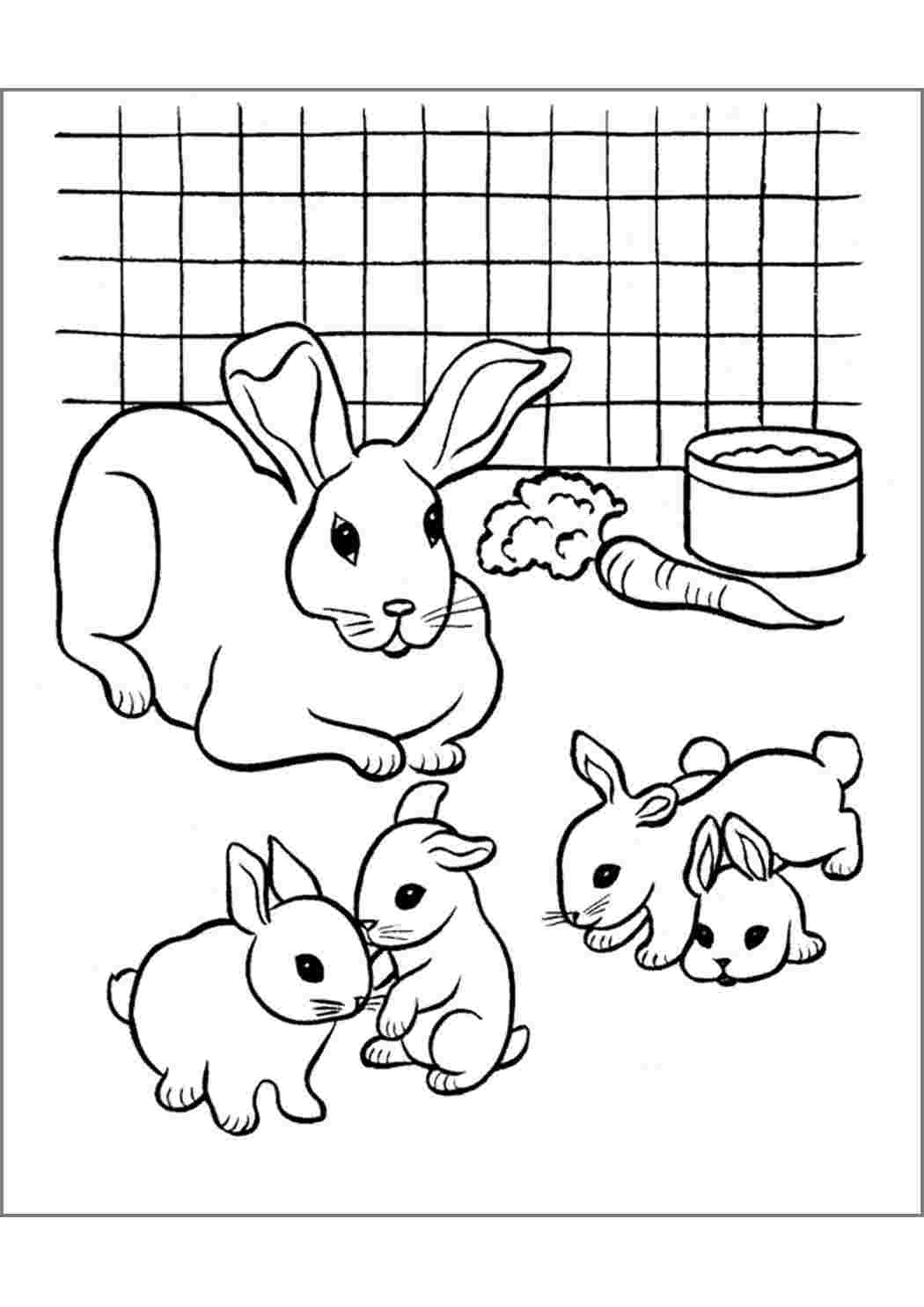 Раскраска кролик Изображения – скачать бесплатно на Freepik