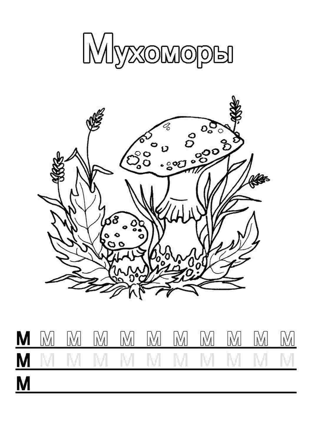 м с мухоморами. Скачать раскраски.