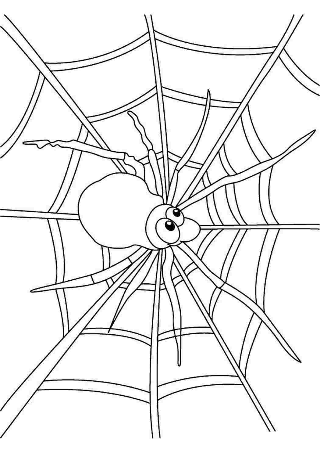 Раскраски раскраска паутина. Раскраска без регистарции. раскраска паутина. Распечатать раскраски.