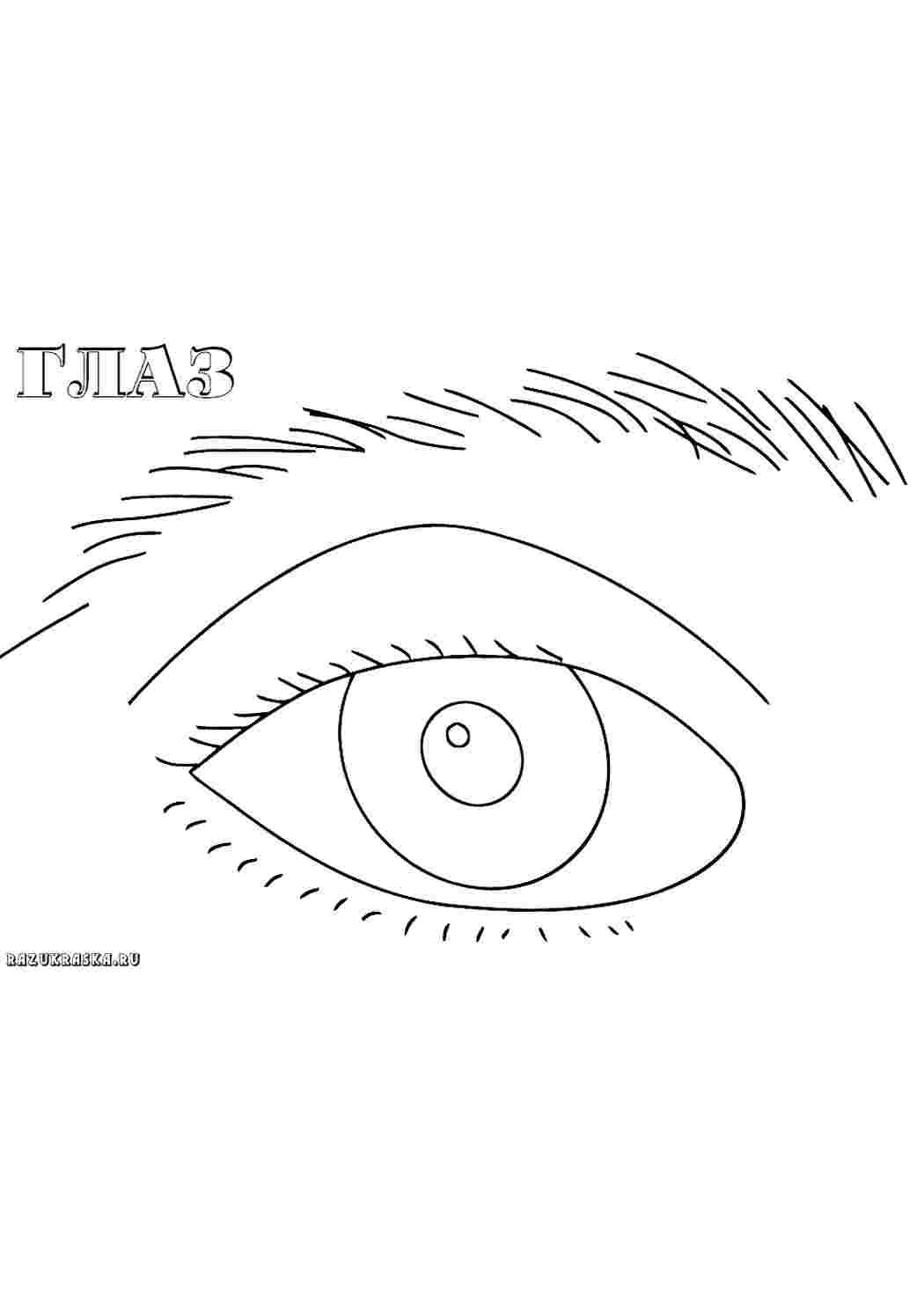Раскраски глаза. Раскраски в формате А4. глаза. Сайт с раскрасками.