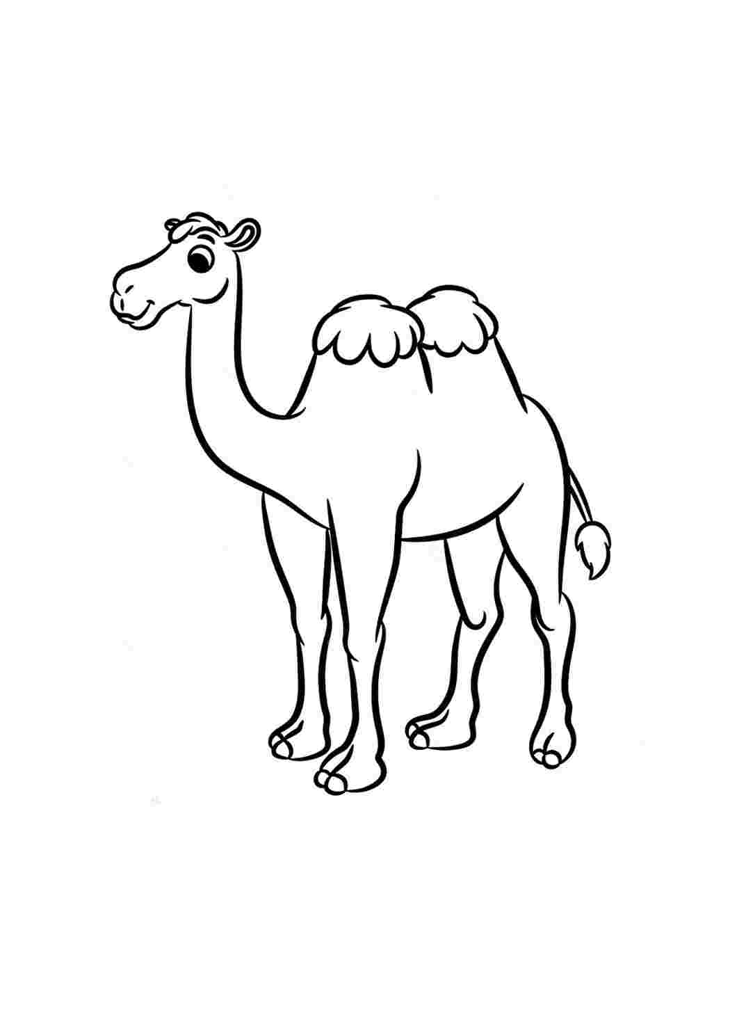 Изображения по запросу Верблюд раскраска
