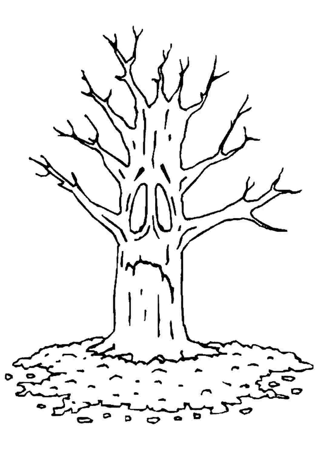 Раскраски Раскраска Раскраска дерево без листьев распечатать. Раскраски для развития. Раскраска Раскраска дерево без листьев распечатать. Раскраска.