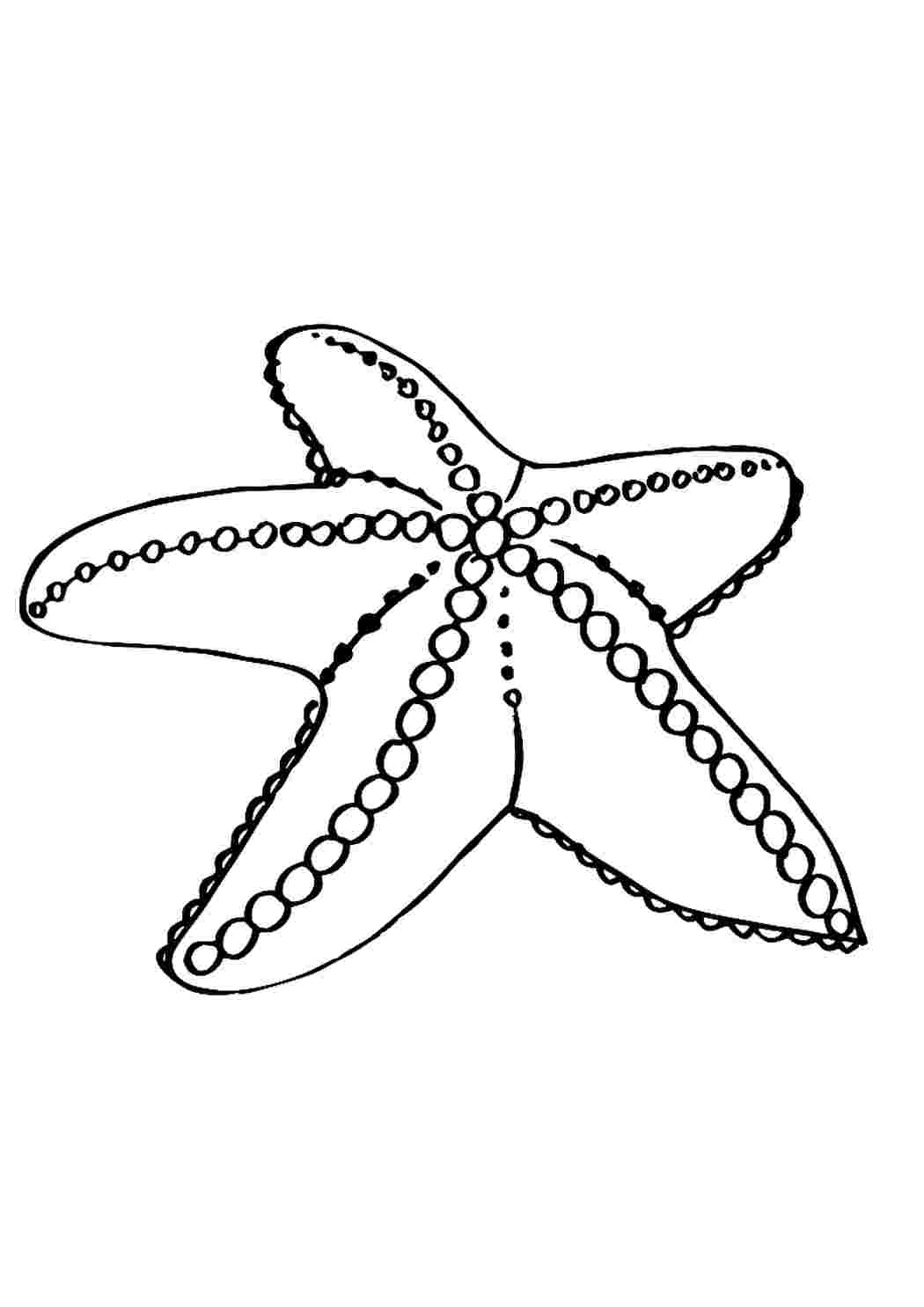 Сумка-раскраска «Морская звезда» (без маркеров) в пакете