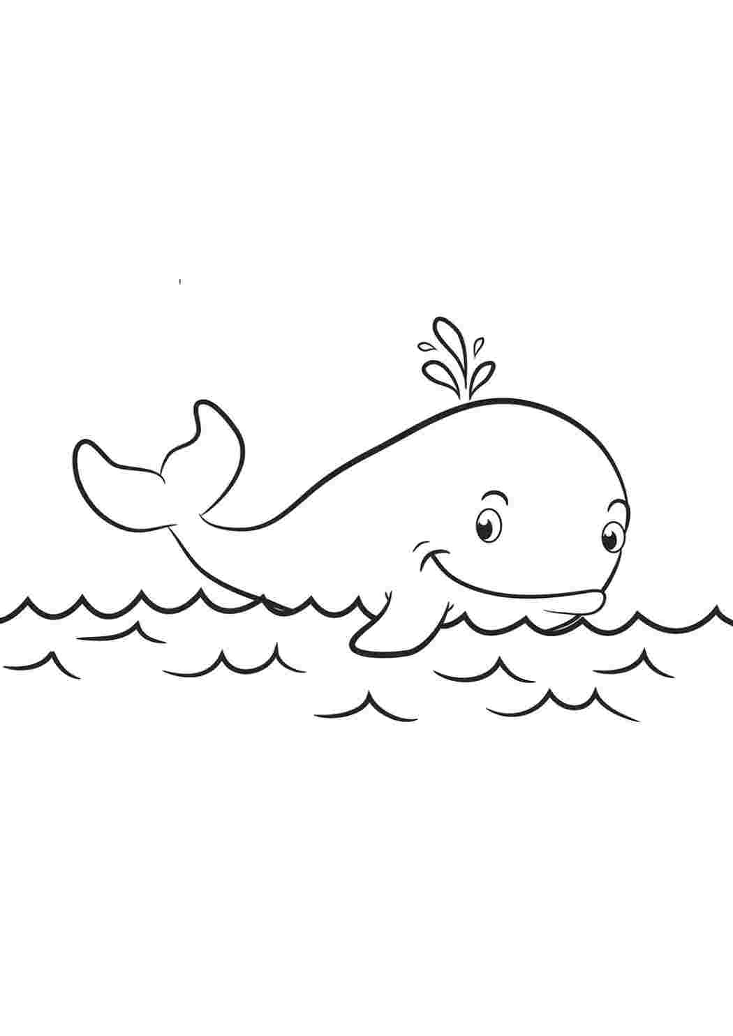 Раскраски море киты. Раскраски в формате А4. море киты. Онлайн раскраски.