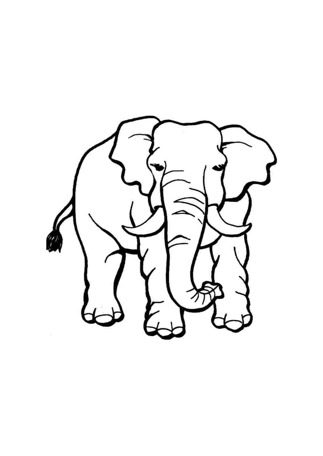 Недорого Картина раскраска по номерам Дух слона 40 х 50 см (без коробки) Магазин ВсеТак