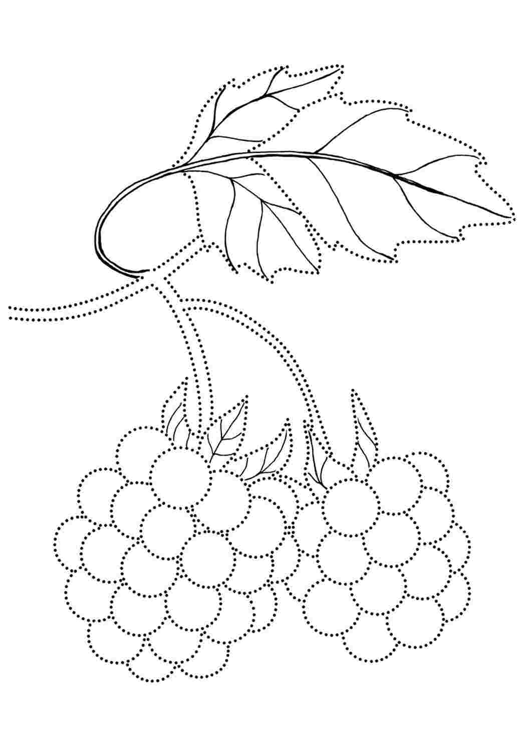 Раскраски Малина по точкам. Черно белые раскраски. Малина по точкам. Раскраска.