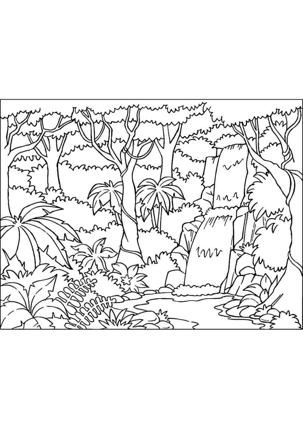 Раскраски раскраска джунгли. Черно белые раскраски. раскраска джунгли. Развивающие раскраски.