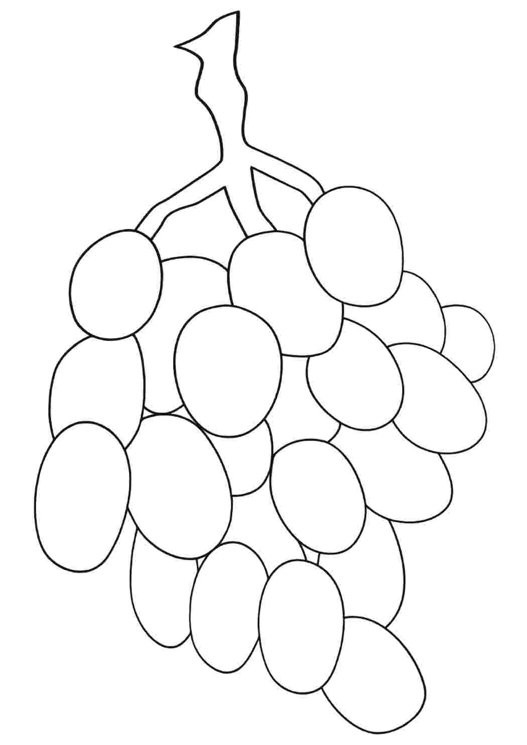 Раскраски виноград еда. Распечатать раскраски на сайте. виноград еда. Раскраска.