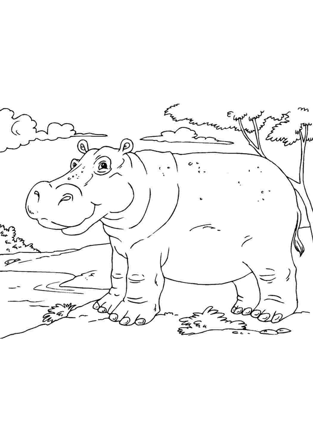 Hippopotamus coloring page for children 3, 4, 5, 6, 7, 8 years old: 20 coloring pages