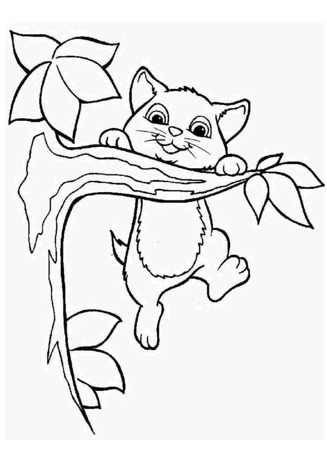 Раскраски кошки и котята. Онлайн раскраска.