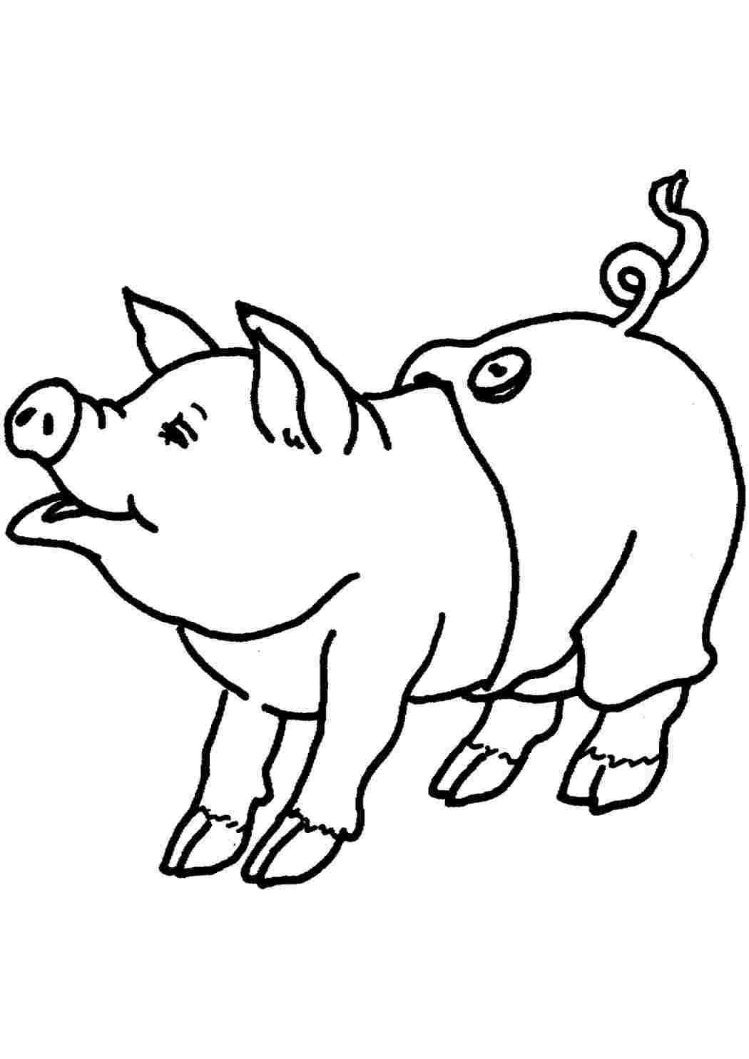 Свинья рисунок: векторные изображения и иллюстрации, которые можно скачать бесплатно | Freepik