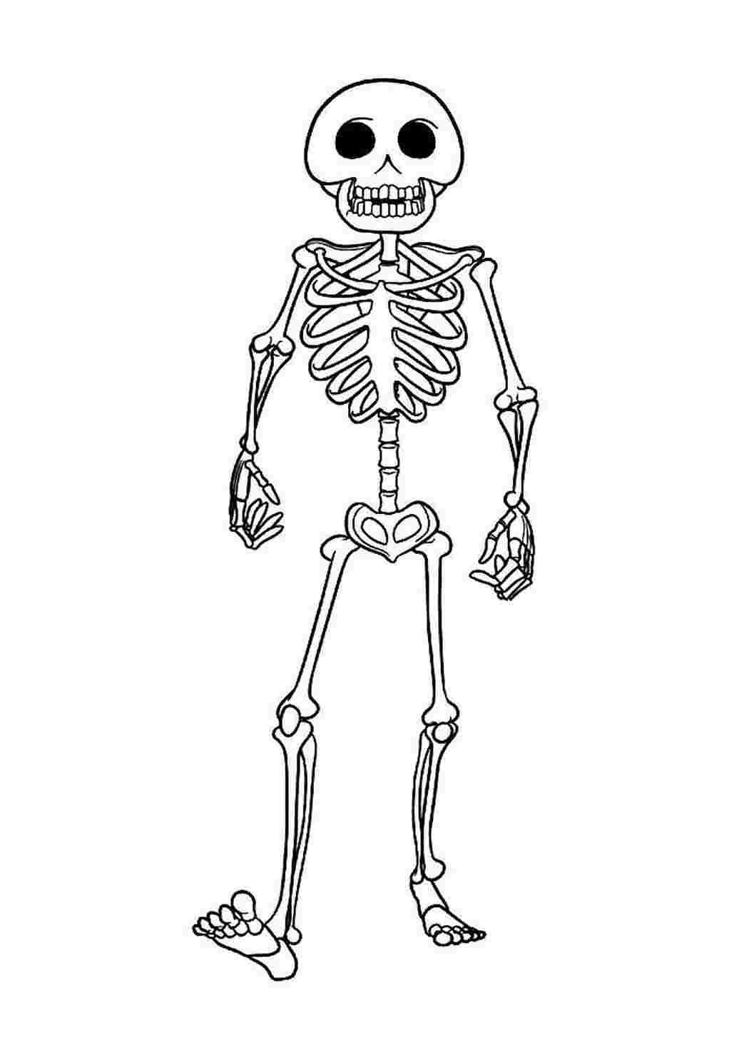 раскраски для мальчиков раскраска скелет. Картинки раскраски.