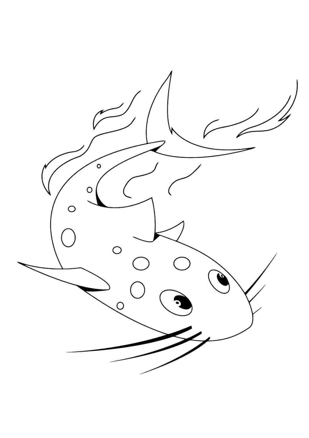 Сом рисунок рыба
