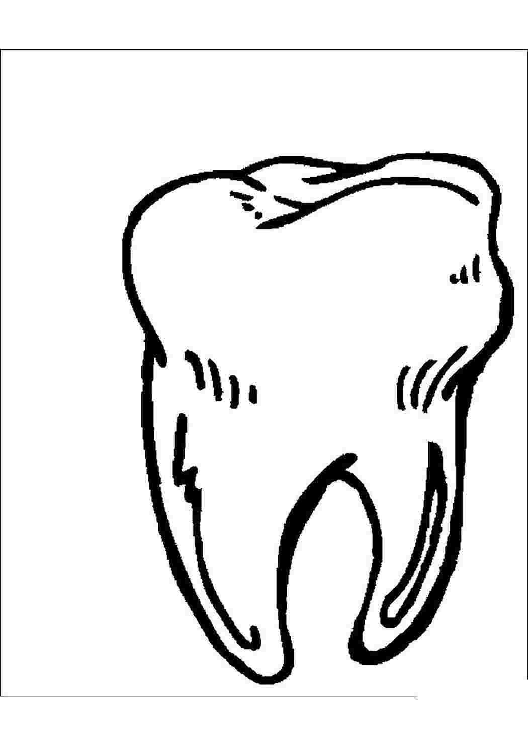 Раскраски раскраска зуб. Интересные раскраски. раскраска зуб. Бесплатные раскраски.