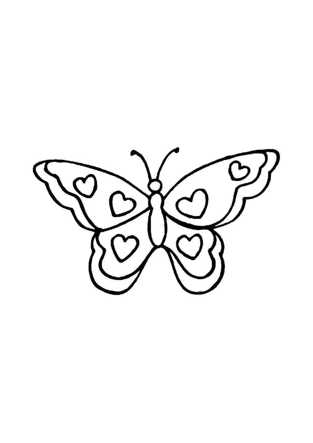 Бабочка раскраски для детей и взрослых распечатать на А4