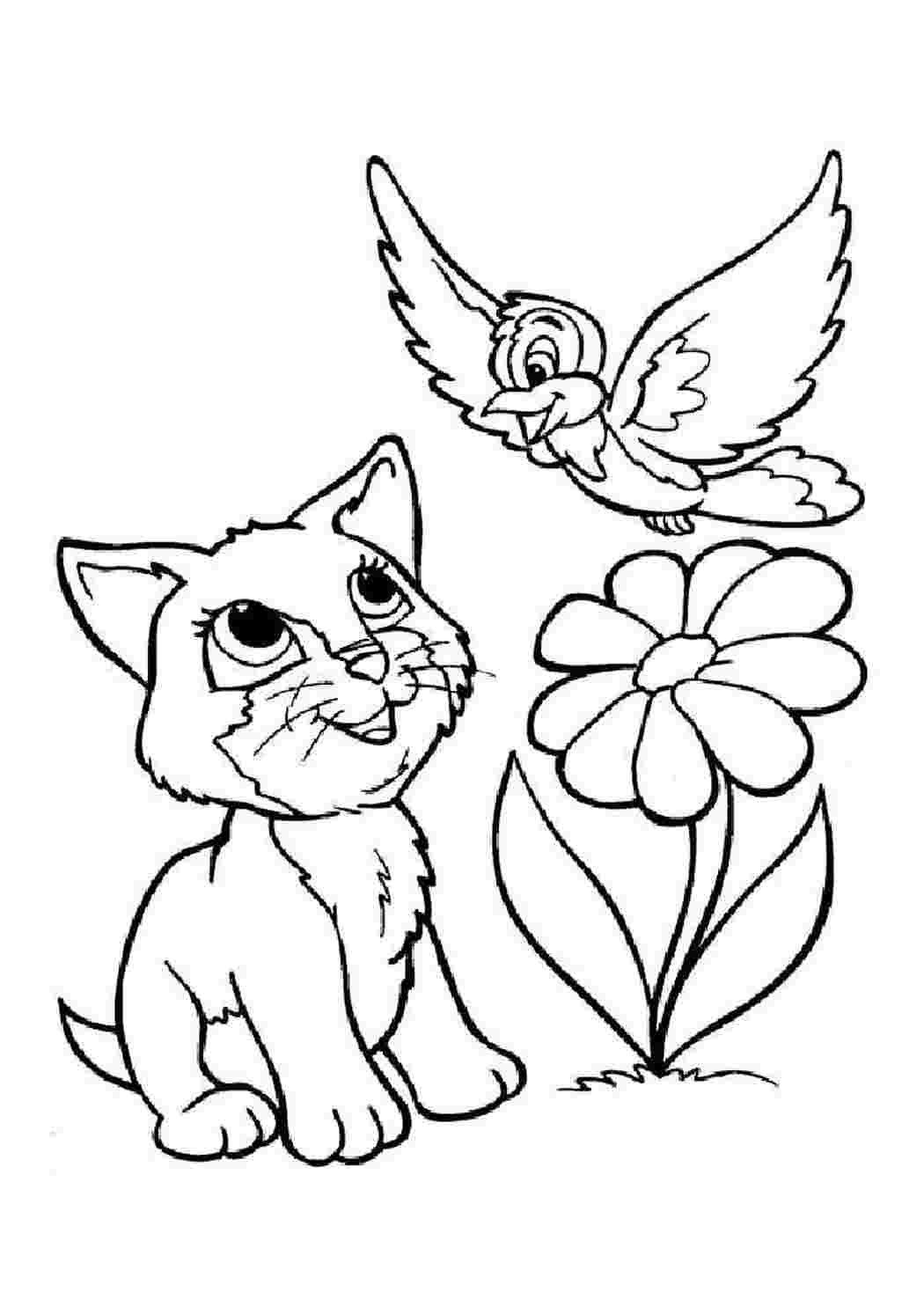 Раскраски Коты и кошки распечатать или скачать бесплатно в формате PDF
