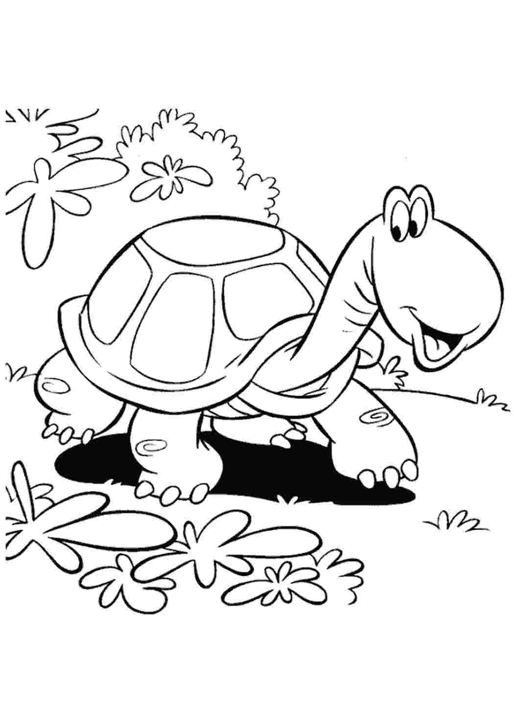 Черепаха рисунок раскраска (52 фото)