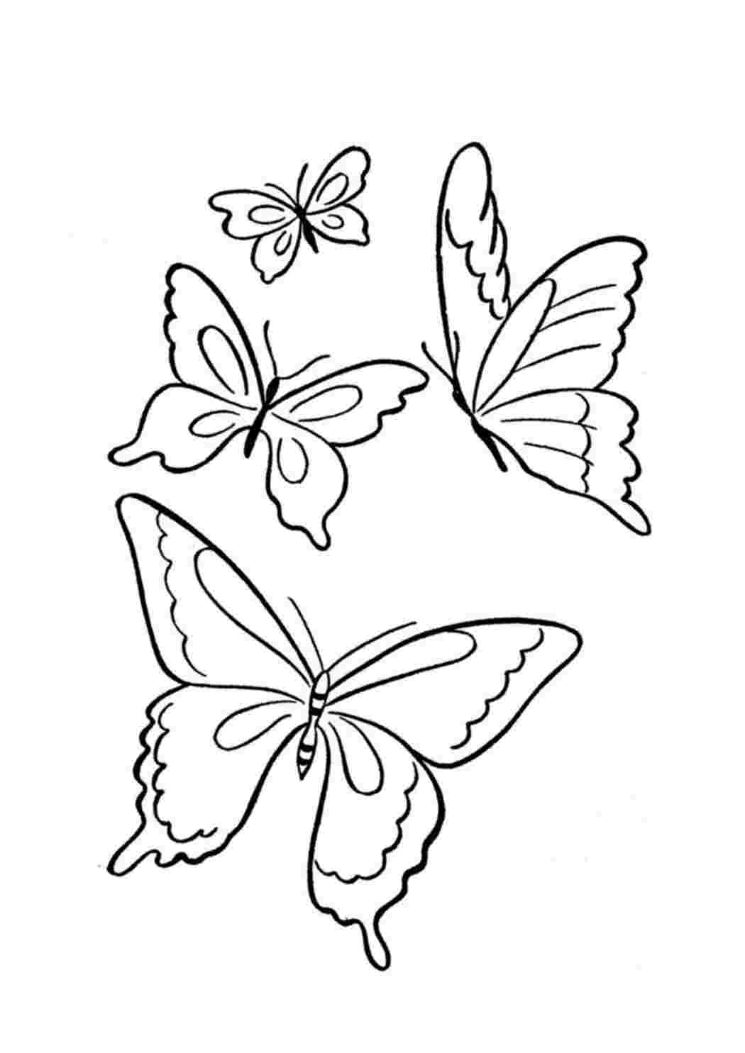 Цветы и бабочки раскраска - 51 фото