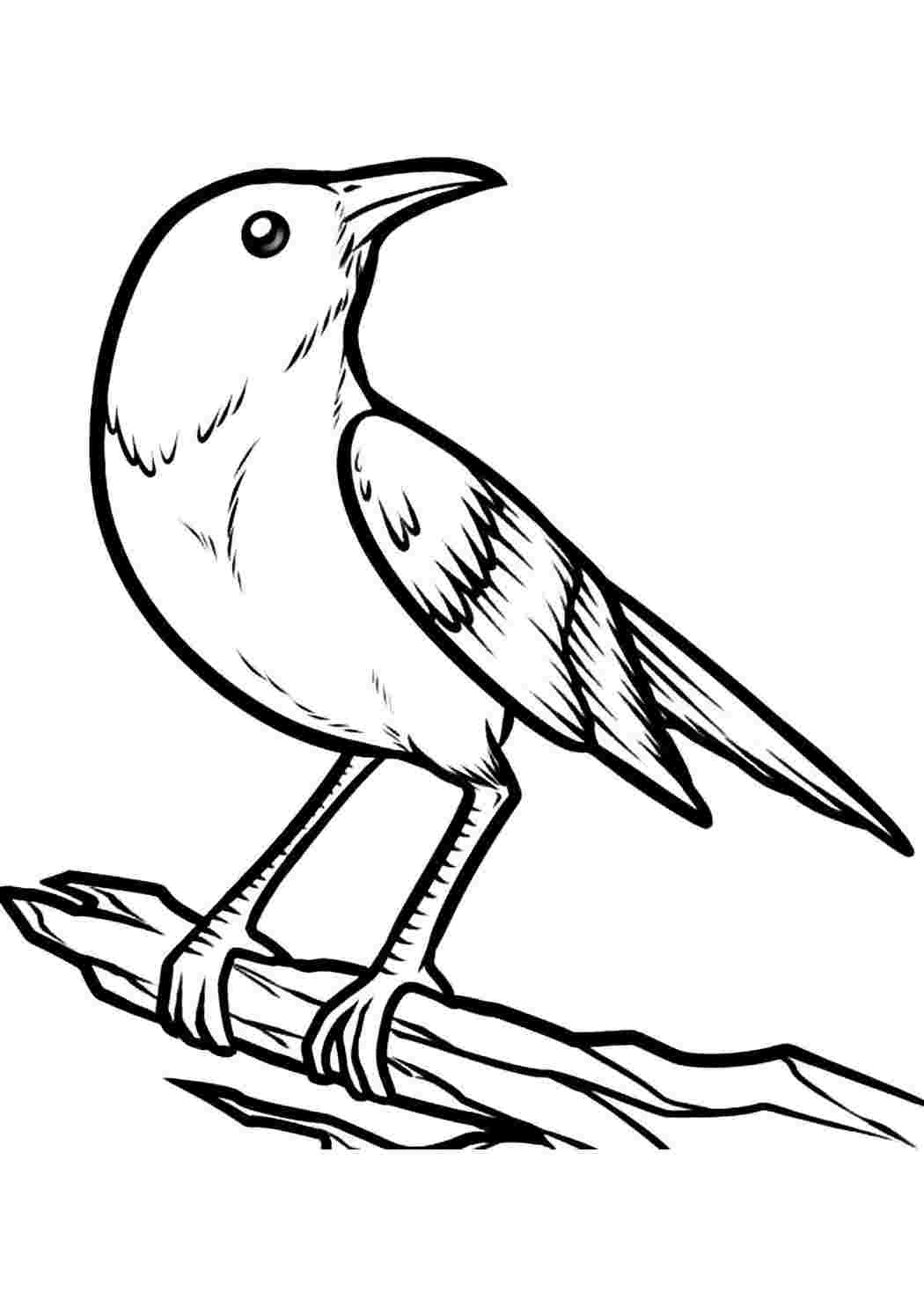 Раскраска Птицы | Жаворонок