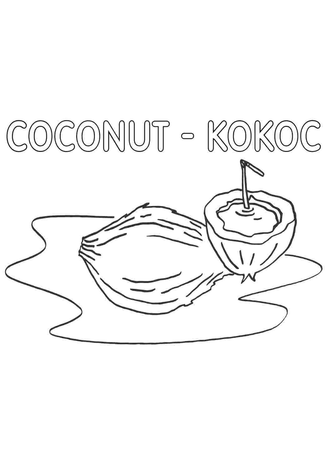 Раскраски кокос природа. Раскраска для печати. кокос природа. Раскраски.