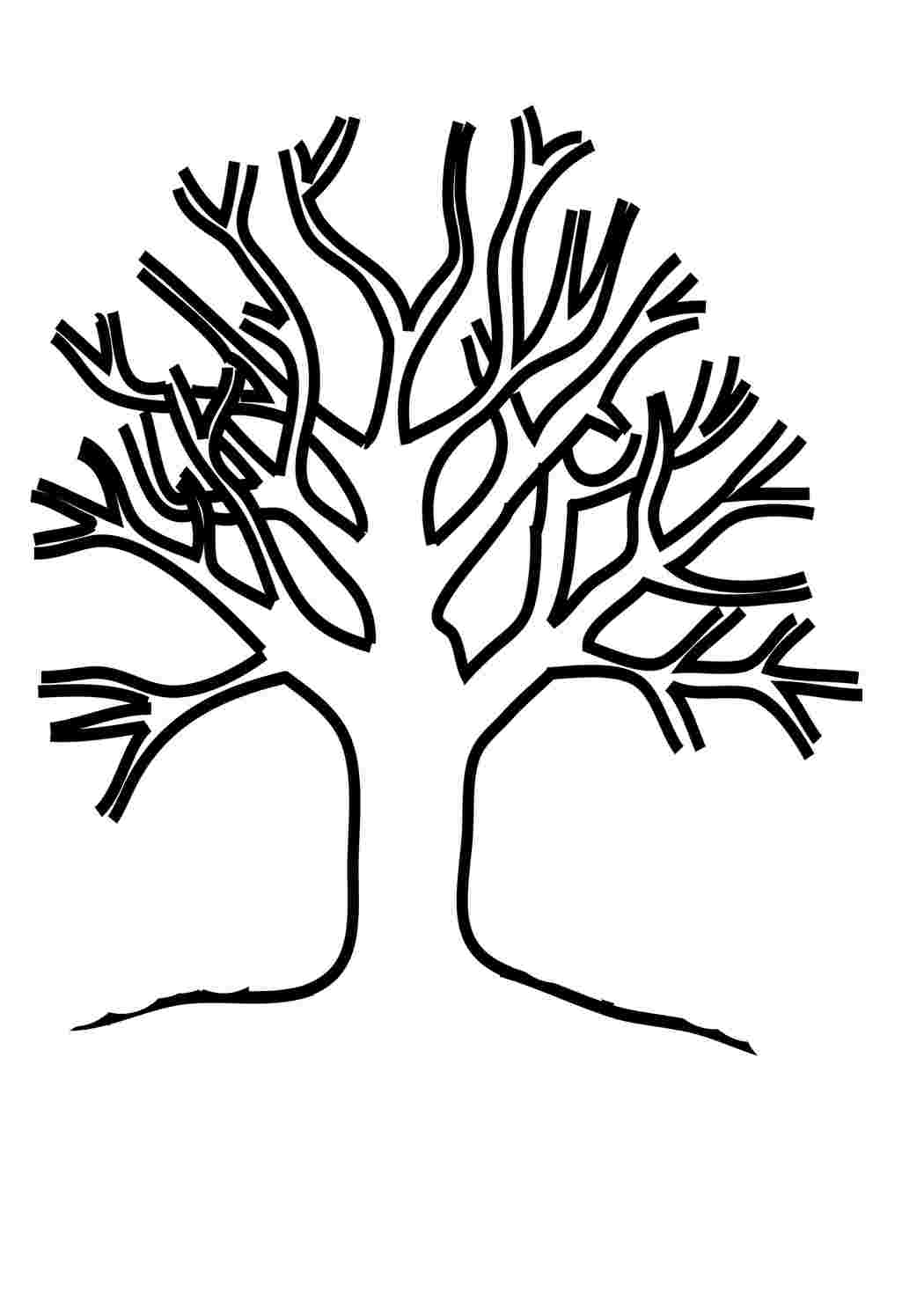 Раскраски Дерево без листьев для детей. Раскраска для печати. Дерево без листьев для детей. Онлайн раскраска.