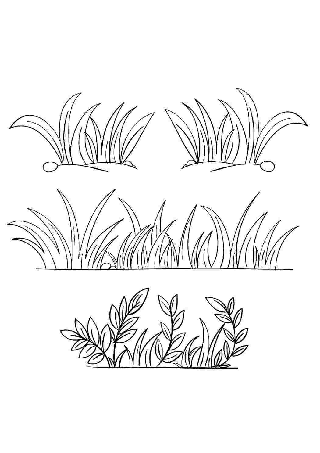 Раскраски раскраска трава. Развивающие раскраски. раскраска трава. Развивающие раскраски.