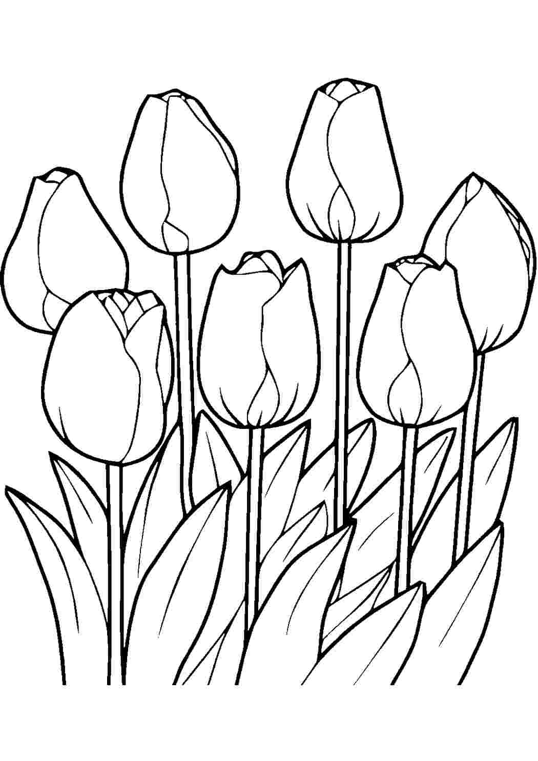 Раскраски Тюльпаны. Интересные раскраски. Тюльпаны. Черно белые раскраски.