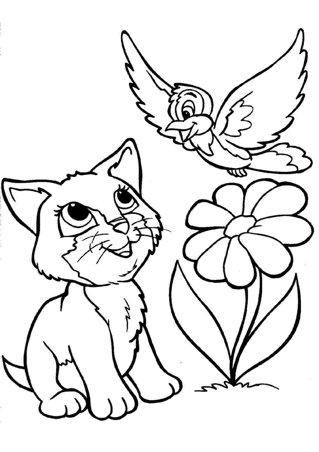 Раскраски кошка с птичкой животные. Обучающие раскраски. кошка с птичкой животные. Распечатать раскраски на сайте.