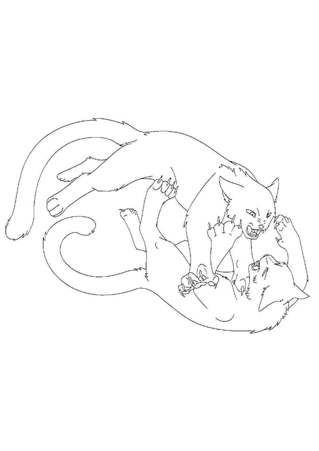 Раскраски Коты | Кот и кошка